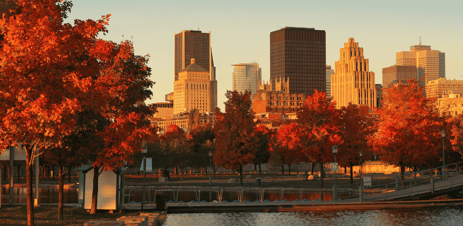 Discover our Montreal City Guide