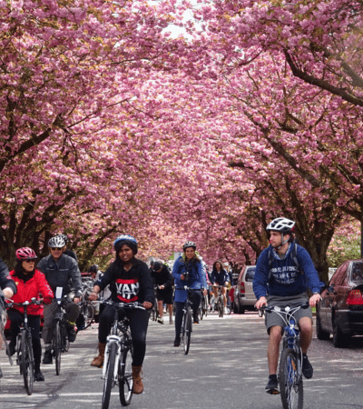 Vancouver Cherry Blossom Festival